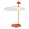 Настольная лампа Lussole Boise LSP-0916 Настольная лампа Lussole Boise LSP-0916