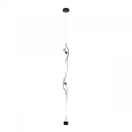 Подвесной светильник Loft IT Parentesi 10346/2 Black