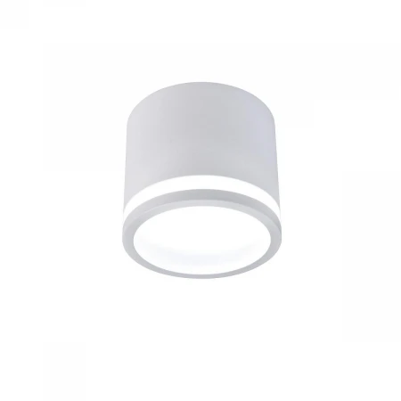 Потолочный светодиодный светильник Favourite Festum 4213-1C