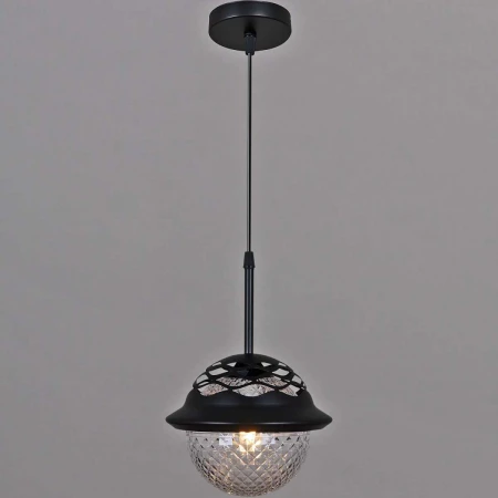 Люстра подвесная Reluce 05905-0.9-01 BK