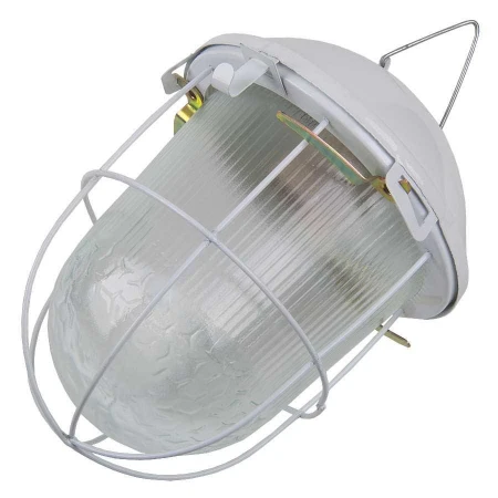 Светильник General НСП 02-100-002.01 с решеткой