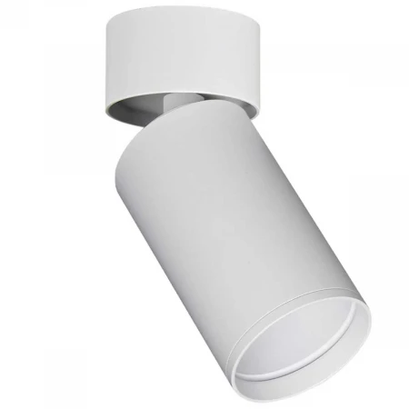 Светильник потолочный ST Luce ST171.502.01