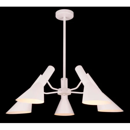 1001P/5 WOOD (1) Люстра 