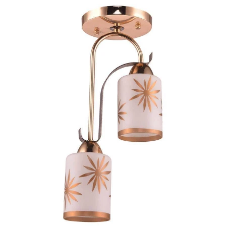 Светильник Escada 191/2S Erki