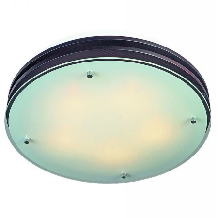 Светильник Omnilux OML-40307-05 Caminha