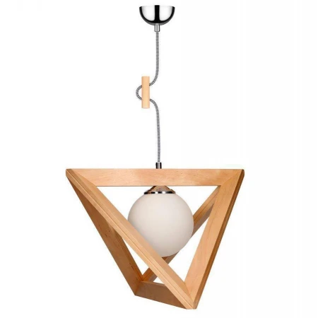 Светильник Spot Light 1251460 Trigonon