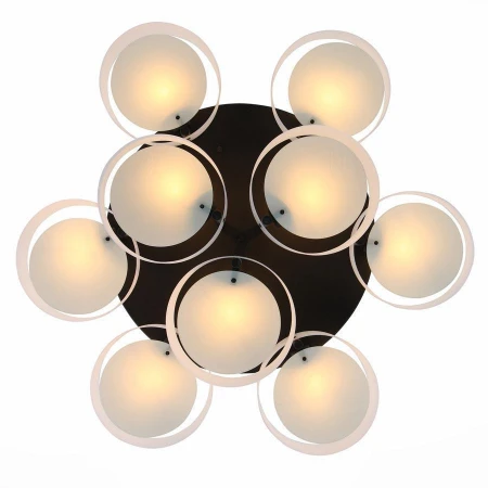 Светильник ST LUCE SL483.402.09 Foresta