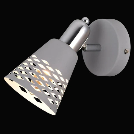 Спот Natali Kovaltseva VISION 75096/1W GRAY VISION