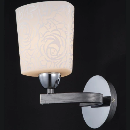 Бра Maytoni TOC005-01-N Eurosize