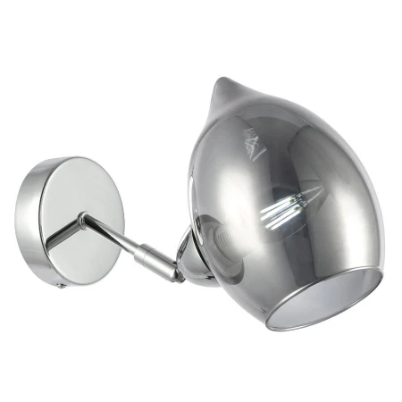 Бра EVOLUCE SLE102401-01 RINNO