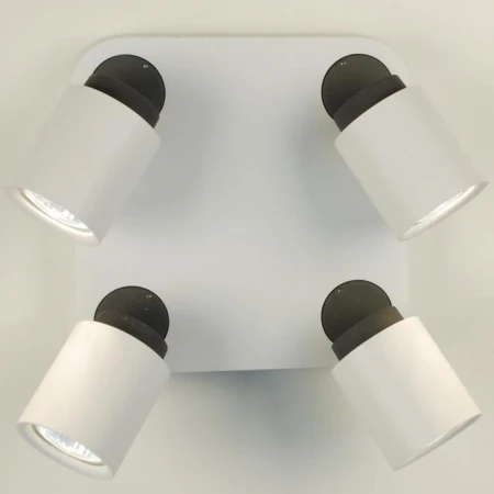 Спот Citilux CL533541 Норман