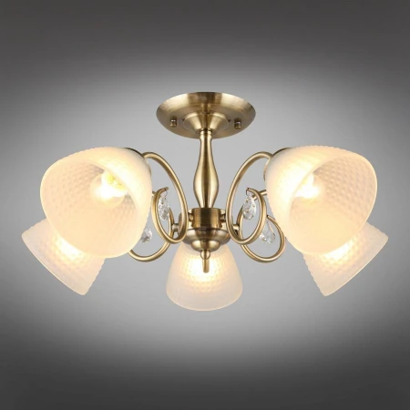 Люстра Omnilux OML-65407-05 Rezzato