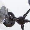 Подвесная люстра Arte Lamp A1664SP-12BK Подвесная люстра Arte Lamp A1664SP-12BK