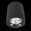 Потолочный светодиодный светильник Arte Lamp Facile A5112PL-1BK