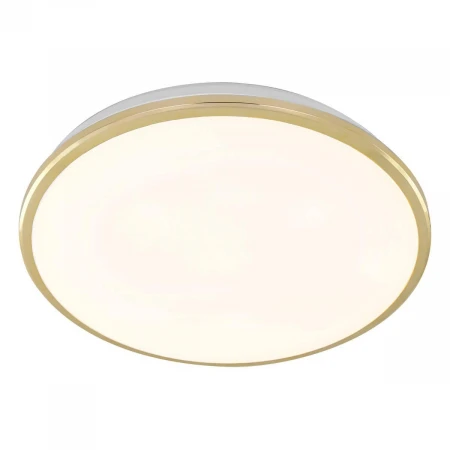 Потолочный светодиодный светильник Citilux Луна CL702302W