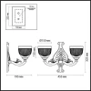 Бра Odeon Light Piemont 3998/2W