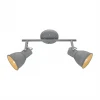 Спот Arte Lamp A1677PL-2GY