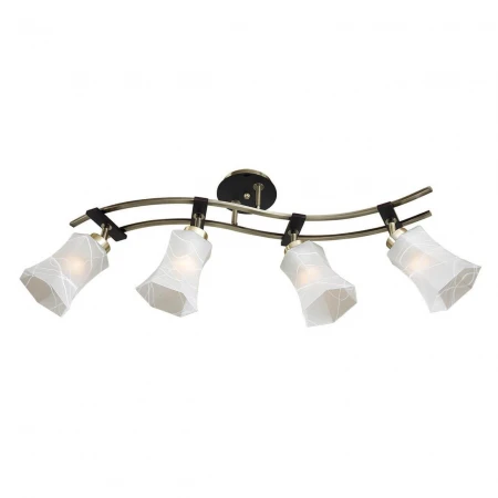 Спот Citilux Мерида CL142143