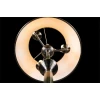 Торшер Arte Lamp Alice A3579PN-3AB Торшер Arte Lamp Alice A3579PN-3AB