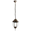 Уличный подвесной светильник Arte Lamp Pegasus A3151SO-1BN Уличный подвесной светильник Arte Lamp Pegasus A3151SO-1BN